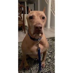 Meet your Posher, Nhi